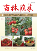 吉林蔬菜