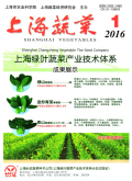 上海蔬菜