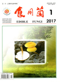 食用菌