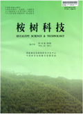 桉树科技