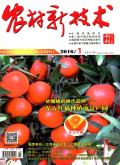 农村新技术