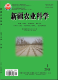 新疆农业科学
