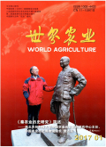 世界农业
