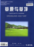 草原与草坪